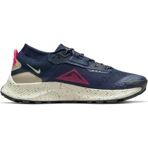 Pegasus Trail 3 Gore-Tex / DC8793-401