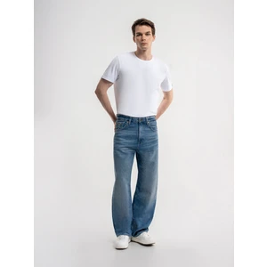 Ramon Baggy Fit Erkek Pantolon