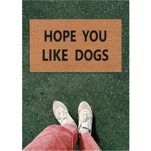Deflife Home Hope Like Dogs Kapı Önü Paspas, Koko Paspas