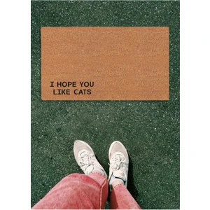 Deflife Home I Hope You Like Cats Kapı Önü Paspas, Koko Paspas