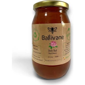 Orman Gülü Balı (Deli Bal)500 g [YENİ SEZON]