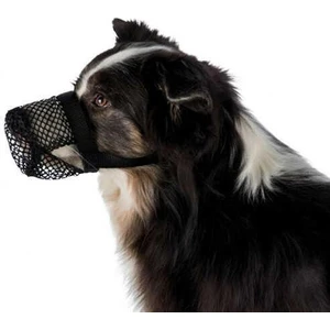 Köpek Ağızlığı, M-L, Siyah