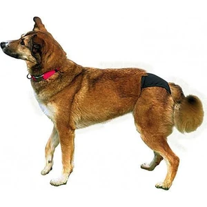 Hijyenik Köpek Külodu S-M 32–39 cm, Siyah