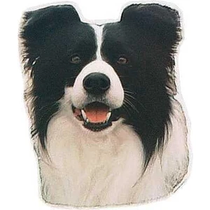 Köpek Çıkartması, Border Collie 1 Adet