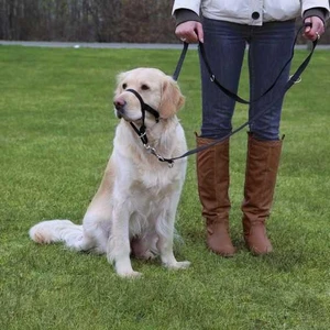 uzman köpek eğitim tasması XL 46cm