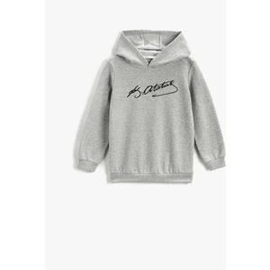 3Wkb10143Tk Gri Erkek Çocuk Sweatshirt