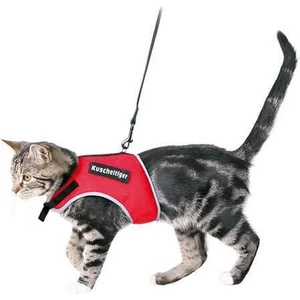 Kedi Göğüs Tasma Seti 24-42cm 1. 20M