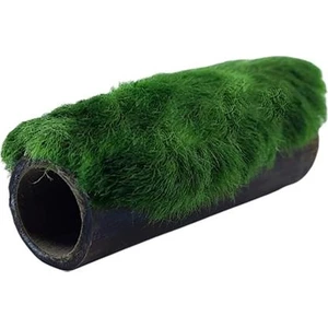 Atakan PetShop Marimo Moss Bambu Canlı Bitki