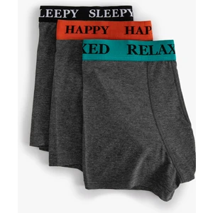 3'lü Boxer Seti Slogan Baskılı
