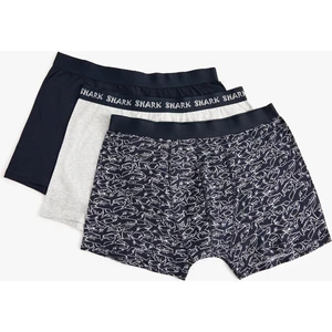 3'lü Boxer Seti Desenli ve Basic Pamuklu