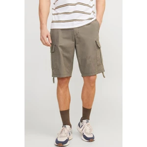 Jack & Jones Erkek Cole Barkley Cargo Şort