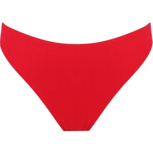 Bikini Alt