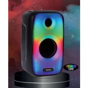 Gy-40 Taşınabilir Müzik Sistemi 40 W