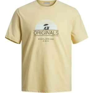 Jack & Jones Jorcasey Baskılı T-Shirt 12255238