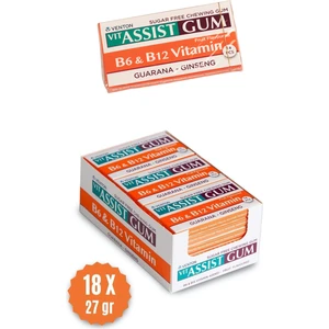 Vit-Assist Gum B6 ve B12 Vitamini Ilaveli Tatlandırıcılı Şekersiz Sakız