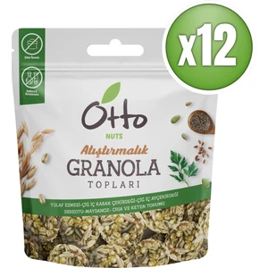 Otto Nuts Maydonozlu Dere Otlu granola Topları 12 x 25 gr