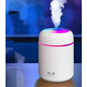 H2O Humidifier 300ML Ulrasonik Usb'li Hava Nemlendirici LED Işıklı Buhar Makinesi