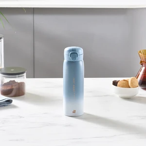 Skyfall Çelik Sızdırmaz Termos 500 ml Mavi