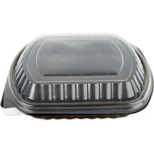 Şeffaf Kapaklı Sıcak Soğuk Isıya Dayanıklı Yemek Salata Kabı Kutusu - Kare - 21X25 Cm. - 10 Adet