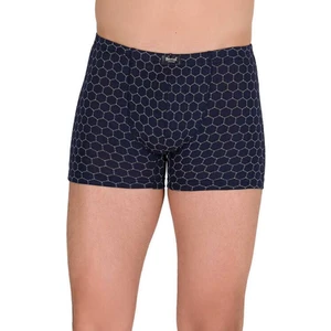 4497 Modal Deseli Erkek Boxer Battal Xxl