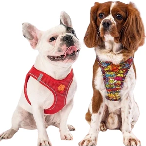 New York 2li Air-Mesh Köpek Göğüs Tasması Kedi Göğüs Tasması Köpek Tasması