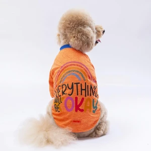 Turuncu Everything Kedi Köpek Sweati