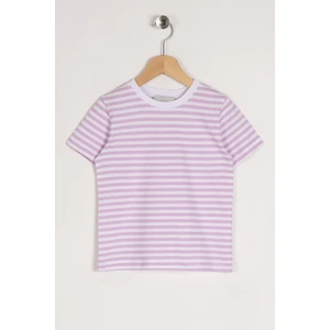 Bisiklet Yaka Kısa Kol Çizgili Lila Renk Tshirt