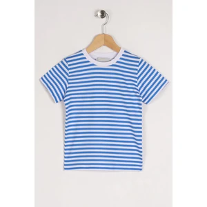 Bisiklet Yaka Kısa Kol Çizgili Indigo Renk Tshirt