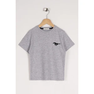 Bisiklet Yaka Kısa Kol Baskılı Gri Renk Erkek Çocuk Tshirt