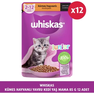 Kümes Hayvanlı Yavru Kedi Yaş Mama 85 G 12X