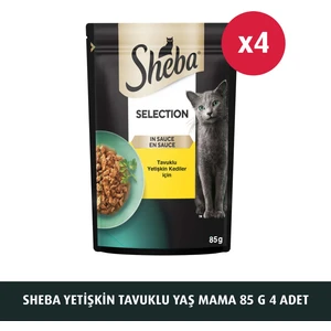 Tavuklu Poşet Yaş Mama 85 G 4x