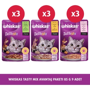 Tasty Mix Avantaj Paketi 85 G x 9