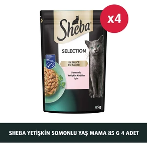 Somonlu Poşet Yaş Mama 85 G 4x
