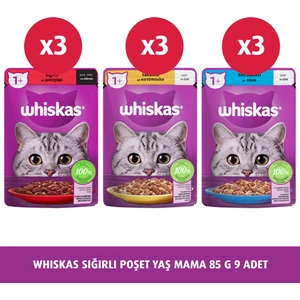 Sığırlı Poşet Yaş Mama 85 G 9x