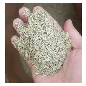 Köy Tohumları 1 kg Özel Karışım Villa Bahçe Çimi Çim Tohumu 6lı Karışım Katkısız Ata Tohum