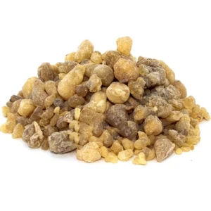 Köy Tohumları 100 gr Sığla Ağacı Özü Ak Günlük Sakızı