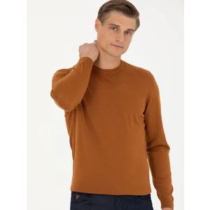 Erkek Tarçın Slim Fit Bisiklet Yaka Triko Kazak 50270174-VR191