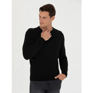 Erkek Siyah Slim Fit Bisiklet Yaka Triko Kazak 50270175-VR046
