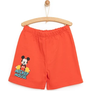 24Y Mickey Mouse Şort Erkek Bebek