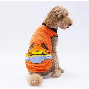 Turuncu Sunrise Büyük Köpek Tişörtü - Köpek Kıyafeti (15 Kg-45 Kg) 7xl