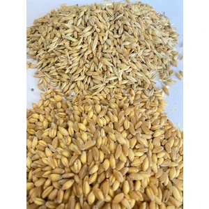 Şenler Zahire - 5 kg - Arpa ve Buğday Karışık Yem (Tavuk, Güvercin, Kaz Vs.)