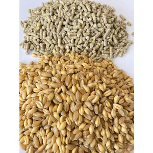Şenler Zahire - 10 kg - “yumurta Palet Yemi ve Buğday” Karışık Yem -  ( Tavuk, Kaz, Ördek Vs)