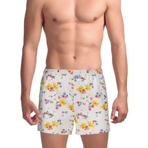 The Don Çok Renkli Erkek Boxer TDNPOP118