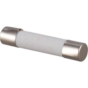 Seramik Sigorta 1 0A 250V 5X20MM Yavaş x 1 Adet (RF068)