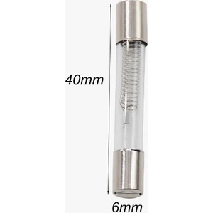 Mikrodalga Fırın Sigortası 5 Kv 1.0A x 1 Adet (RF021)