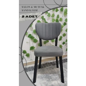Özcan Mobilya Aksesuar 2 Adet Metal Elma Mutfak Salon Sandalyesi Kafe Restoran Sandalyesi Metal Demonte Sandalye
