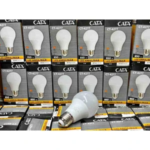 9 Watt LED Ampul