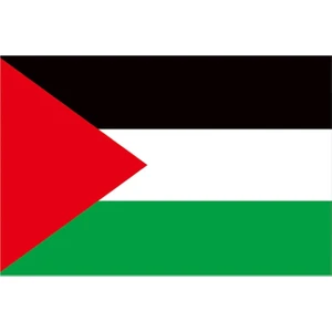 Sina Filamax 100X150 cm  90 gr  Filistin Bayrağı Raşel  Parlak Kumaş