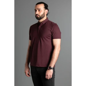 Zeki Özer Erkek Mürdüm Dokulu Düğmeli Polo Yaka T-Shirt