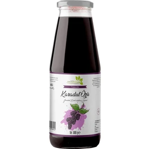 Karadut Dünyası Taneli Karadut Özü 1000 gr